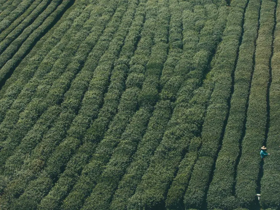 Team members finalizing a business agreement