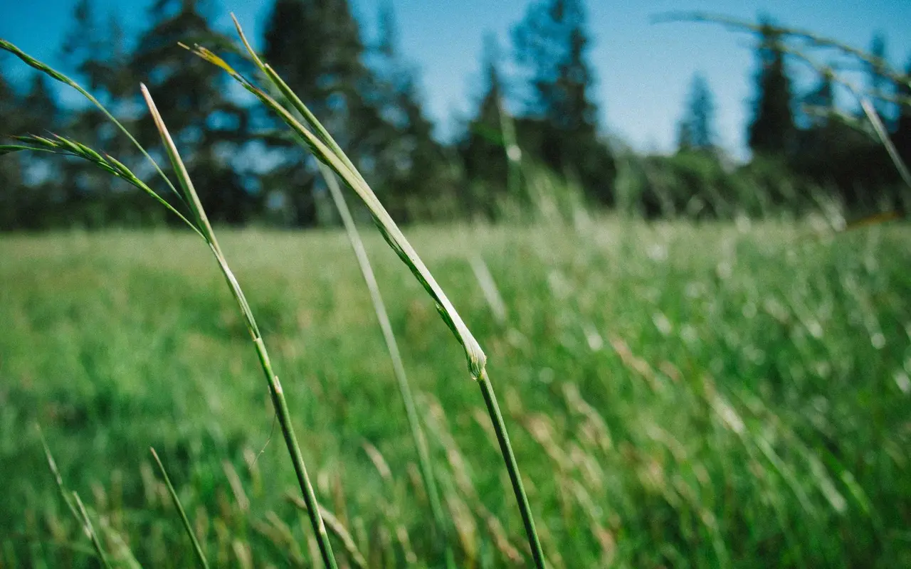 Tech product interface on multiple screens
